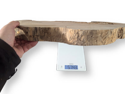 Hand holds an irregular light brown wood slice with rough bark over a digital scale showing 5743.
