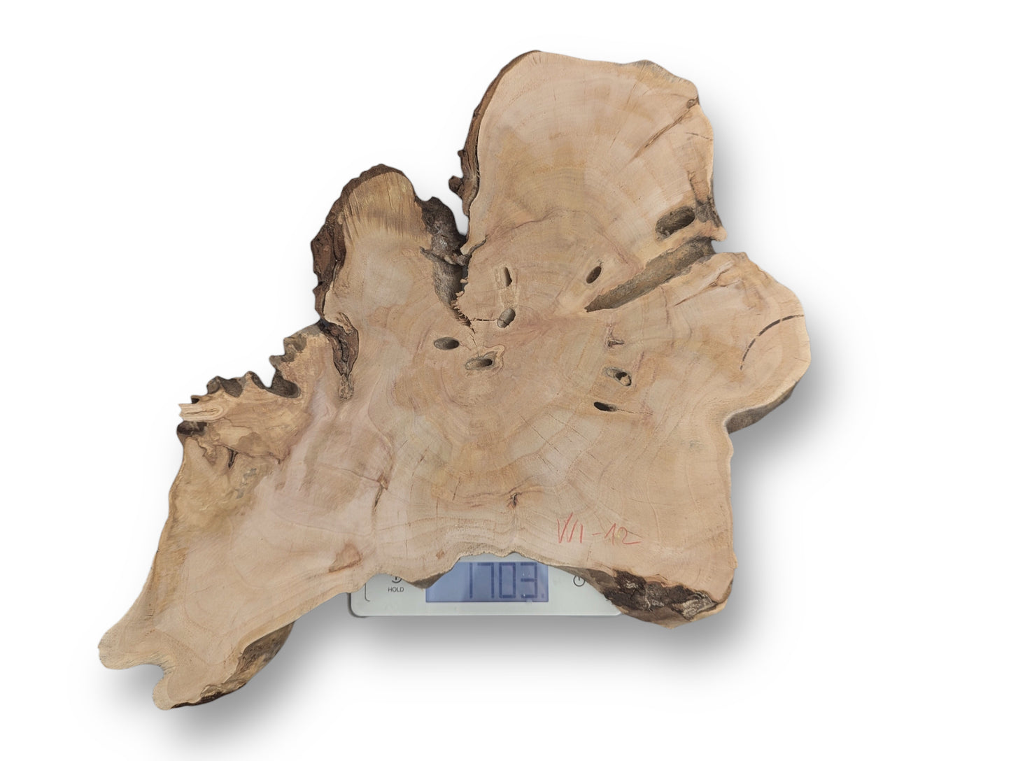 Digital scale displays 1703, supporting an irregular light brown wood slice with growth rings and voids.