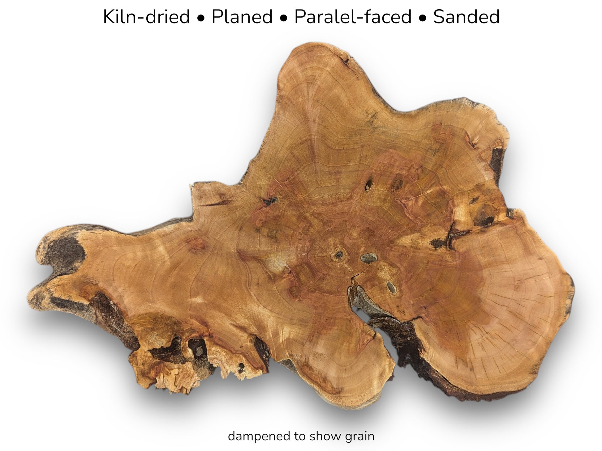 Image of a live edge wood slice, irregular shape, warm brown. Text details processing and dampened grain.