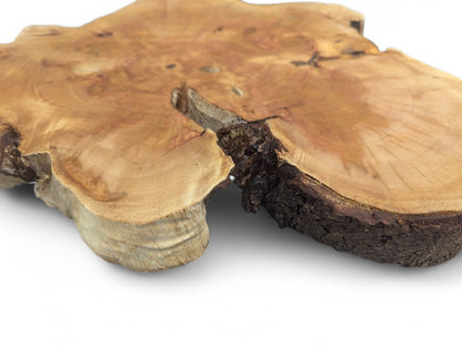 Close-up of a light brown live edge wood slice, showing growth rings, a central crack, and dark bark.