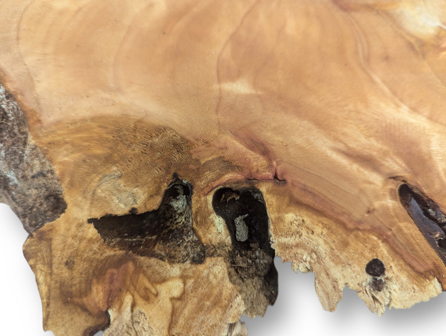 Close-up of a light brown wood slice, featuring organic grain, prominent dark voids, and a visible crack.
