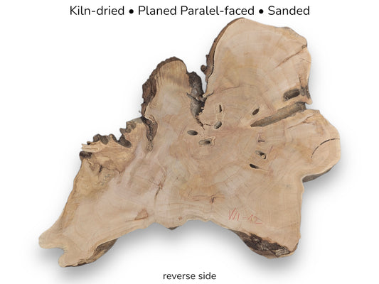 Text overlay showing an irregular live edge wood slice (reverse side) and its processing details.