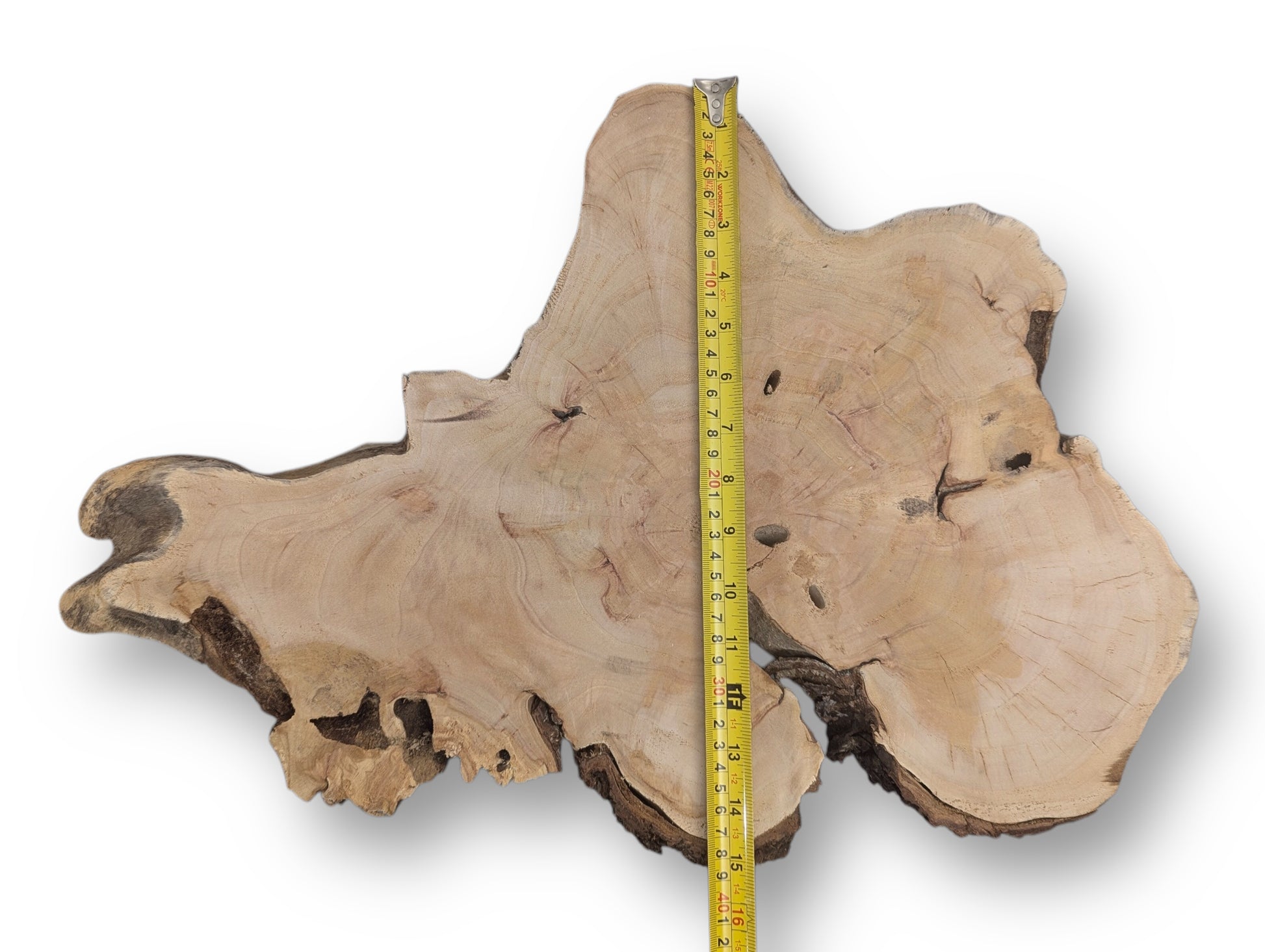 Organic light brown wood slice, displaying growth rings, natural dark bark, and a yellow tape measure.