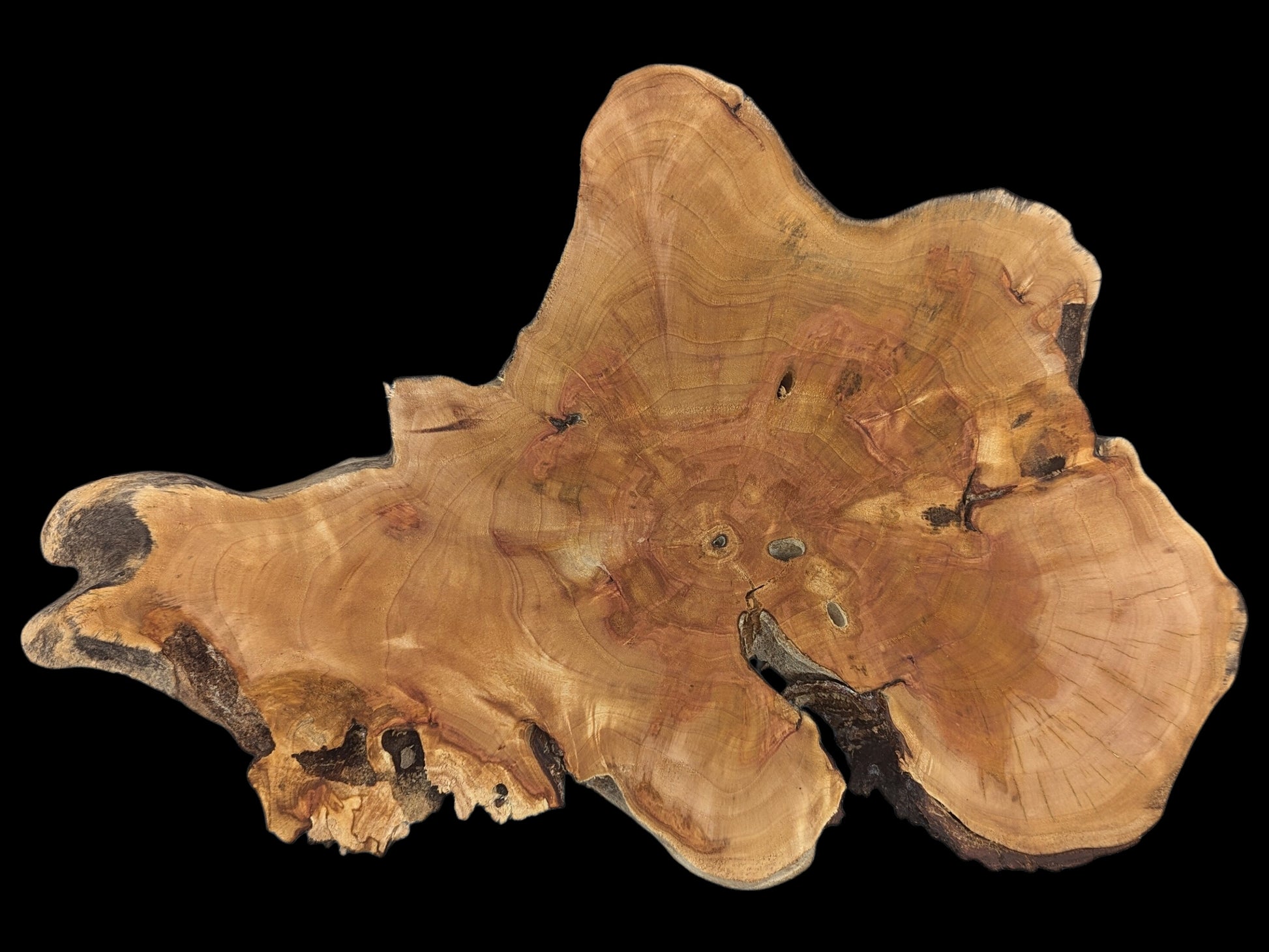 Irregular, light brown live edge wood slice with distinct grain, growth rings, and natural crevices.