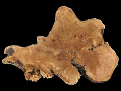 Irregular, light brown live edge wood slice with distinct grain, growth rings, and natural crevices.