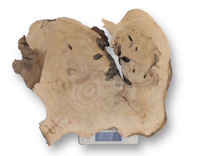 An irregular light brown wood slice with growth rings, dark fissures, and a scale displaying 221.7.
