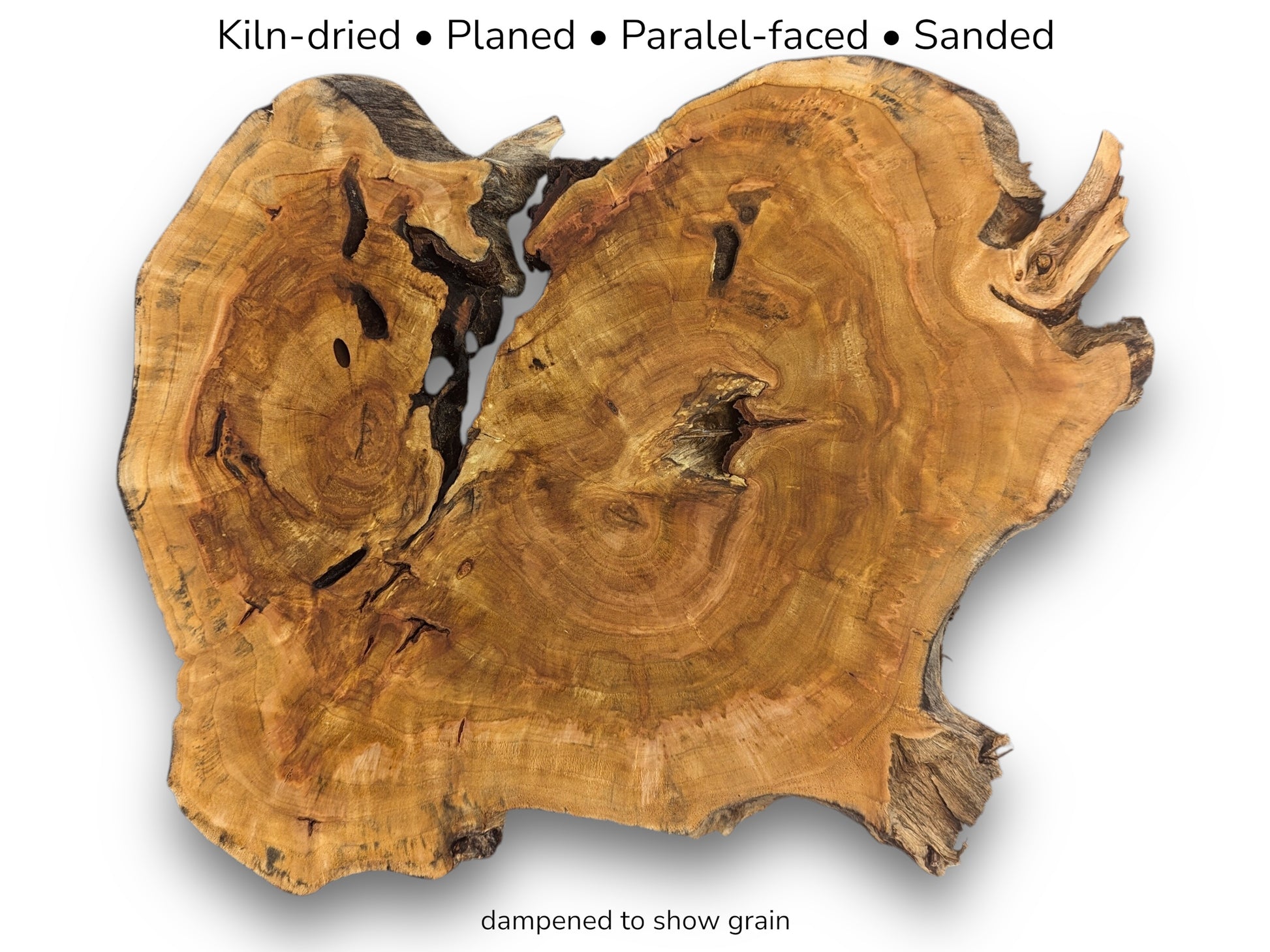 A dampened weeping willow root slice with text listing preparation like kiln-dried and sanded.