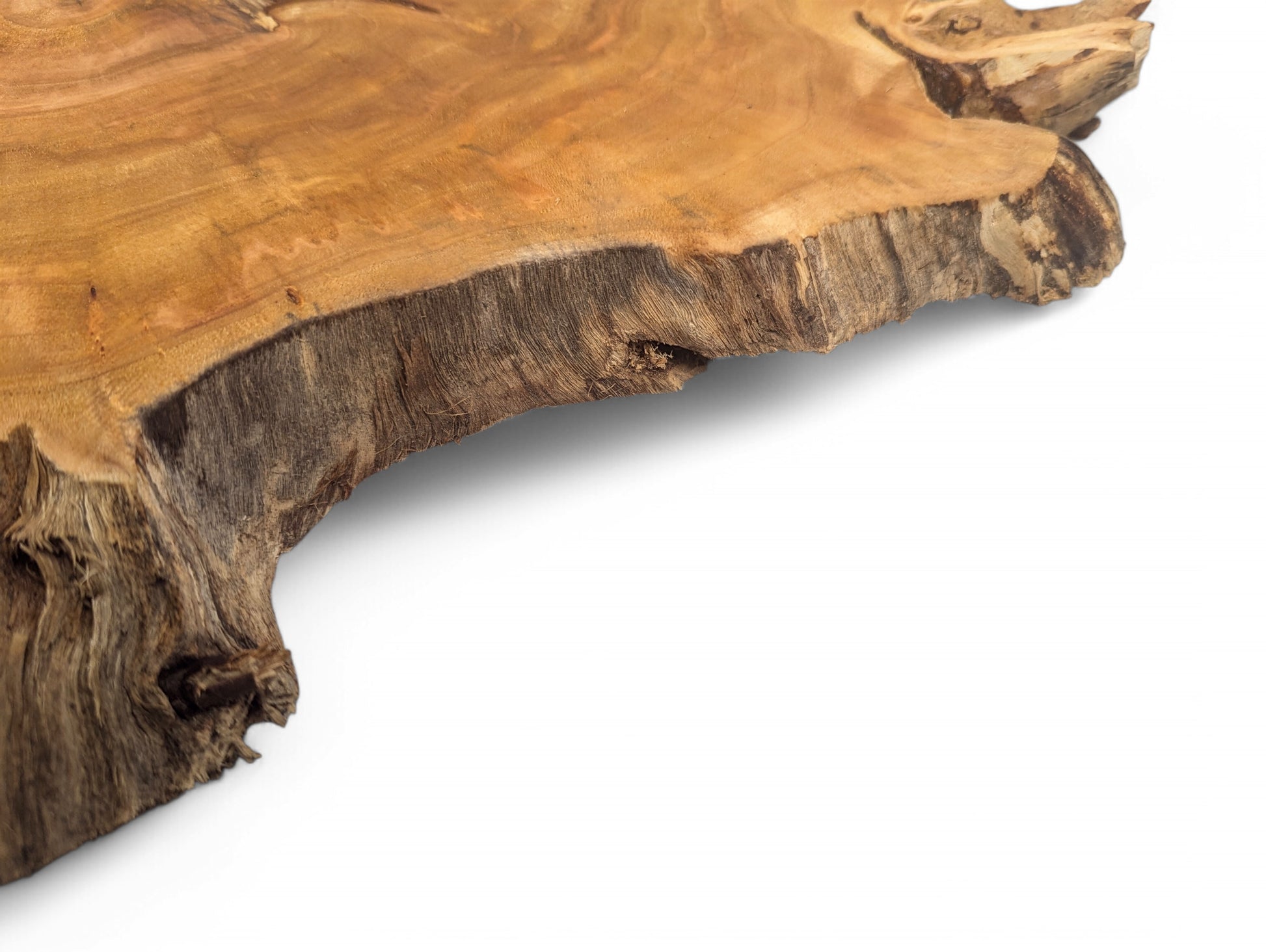 Close-up of an irregular golden-brown wood slice, showing its smooth surface, visible grain, and rough live edge.