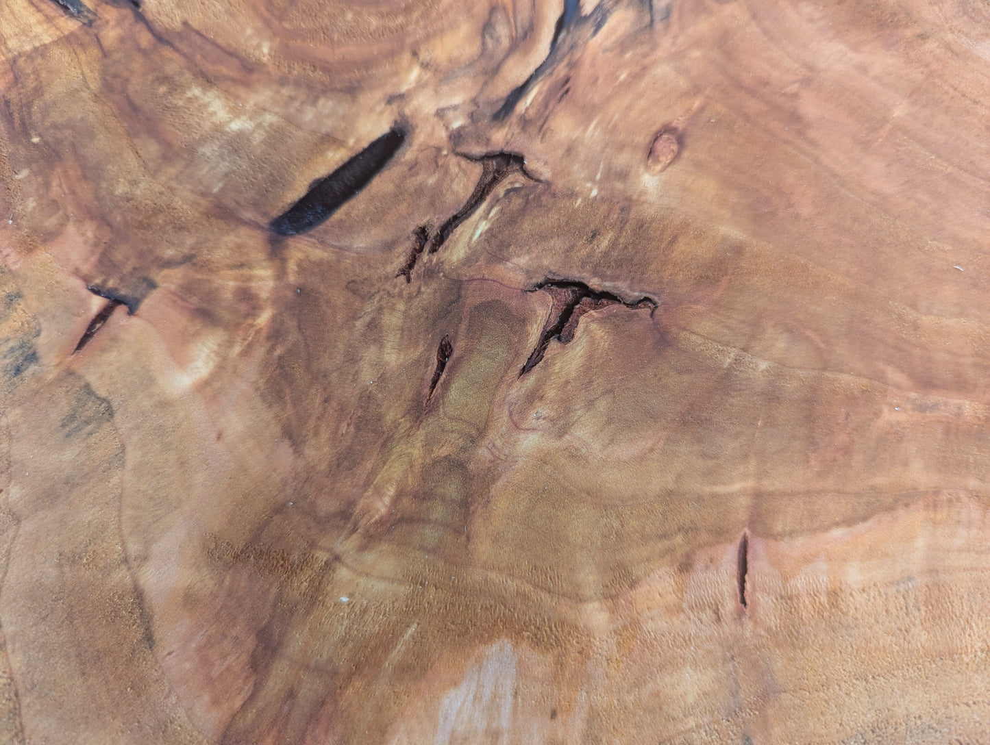Close-up of a golden-brown wood slice surface, showing prominent grain patterns and dark, irregular cracks.