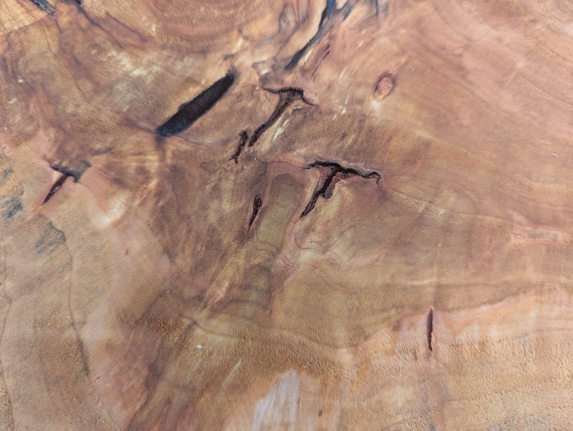 Close-up of a golden-brown wood slice surface, showing prominent grain patterns and dark, irregular cracks.
