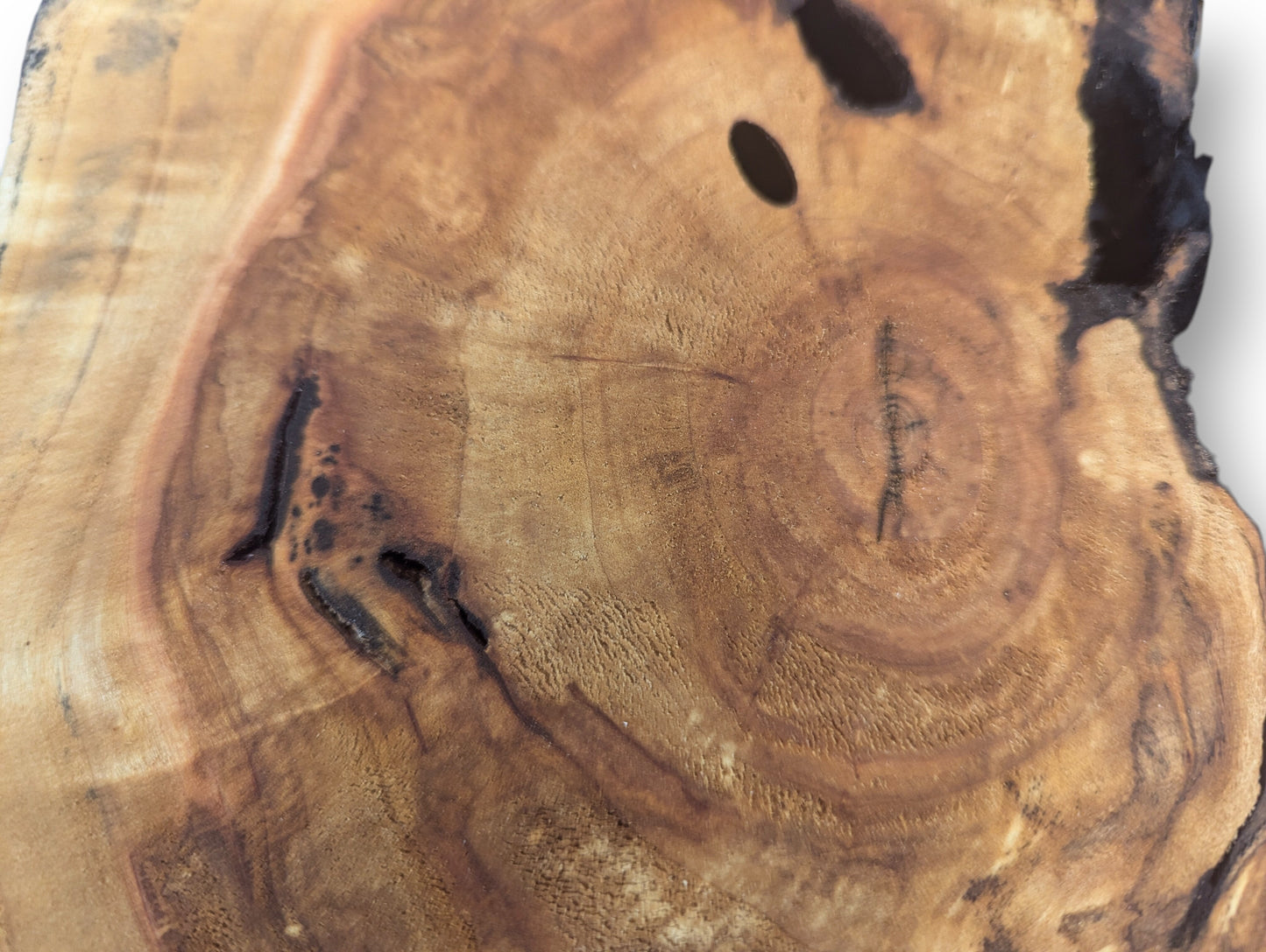 Golden-brown live edge wood slice surface showing distinct growth rings, dark natural cracks, and voids.