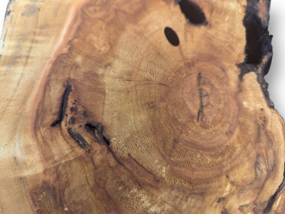 Golden-brown live edge wood slice surface showing distinct growth rings, dark natural cracks, and voids.