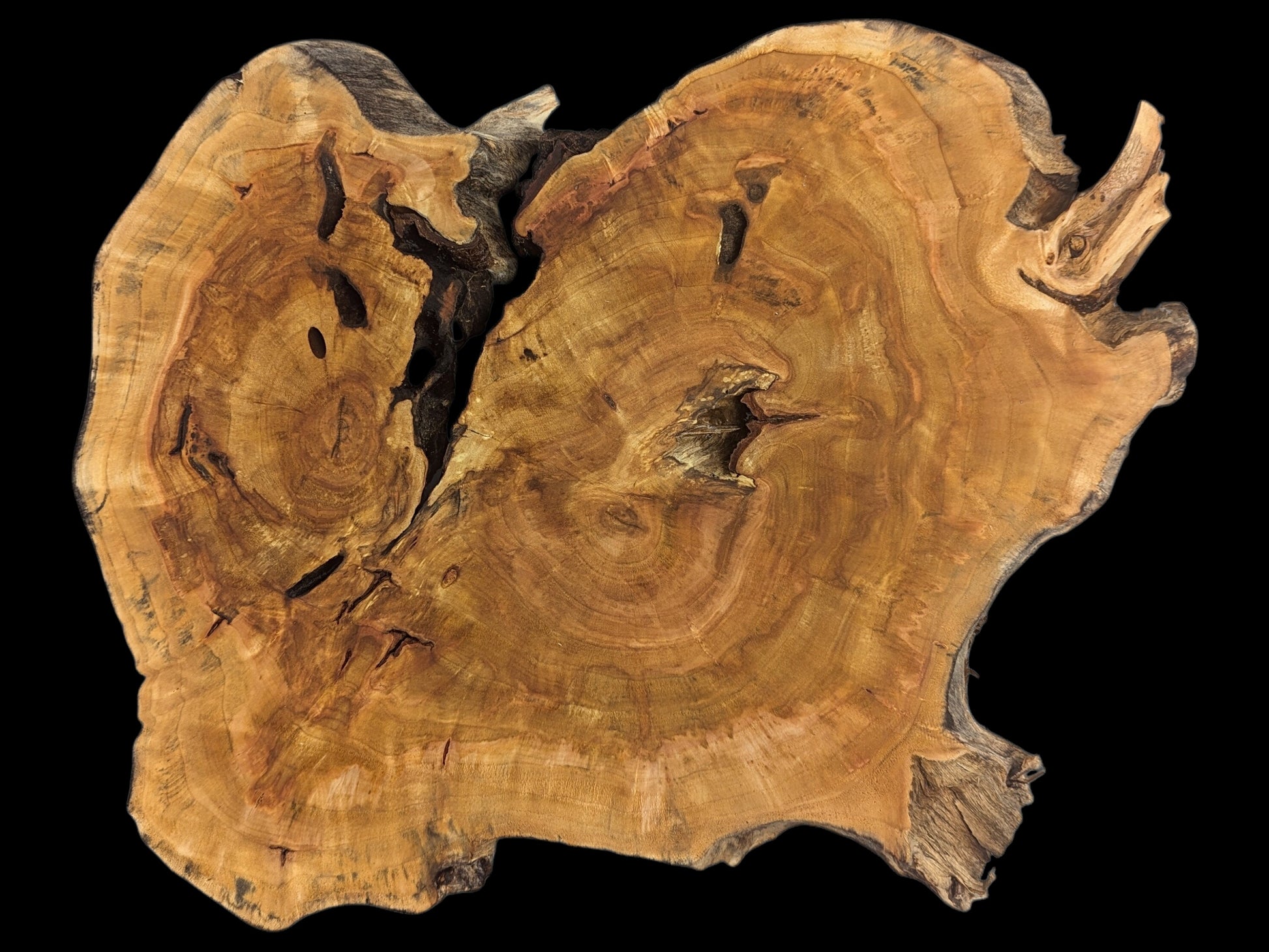Irregular golden-brown live edge wood slice with prominent growth rings and natural dark cracks.