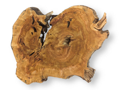 Golden-brown, irregularly shaped wood slice displays prominent growth rings, dark fissures, and a rough live edge.