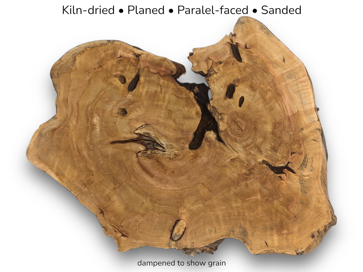 A weeping willow root slice with text describing its preparation: kiln-dried, planed, and sanded.