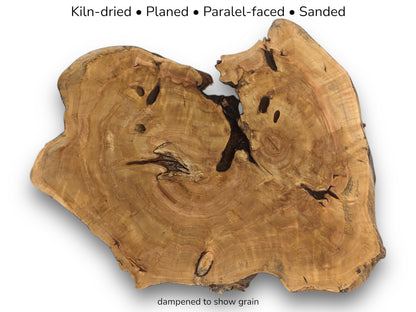 A weeping willow root slice with text describing its preparation: kiln-dried, planed, and sanded.