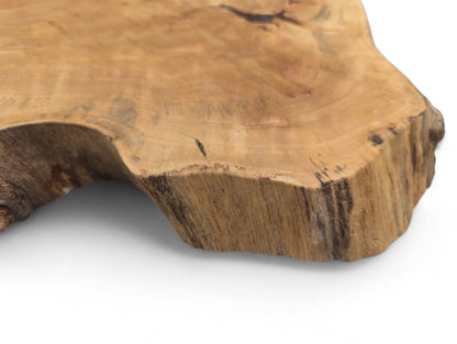Close-up of a light brown, irregular wood slice showing growth rings and a textured live edge.