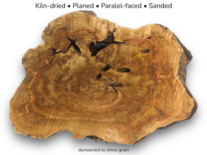 A weeping willow root slice with text overlays describing its kiln-dried and sanded preparation.