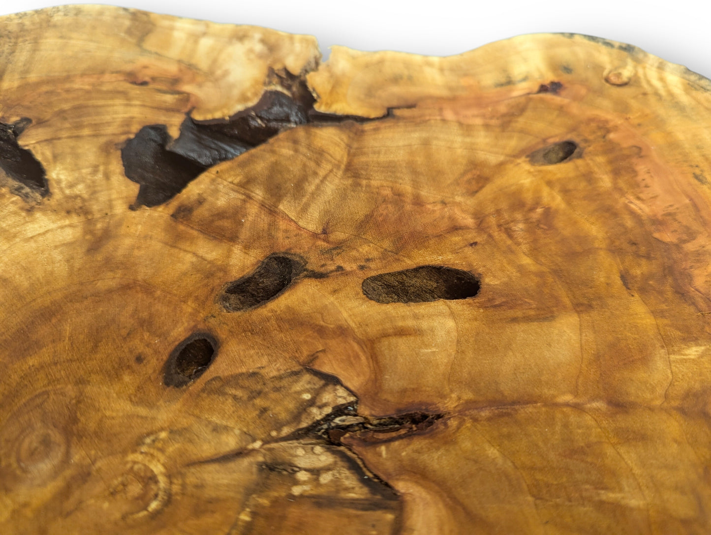View of an amber-toned wood slice, featuring prominent growth rings, several dark holes, and deep natural cracks.
