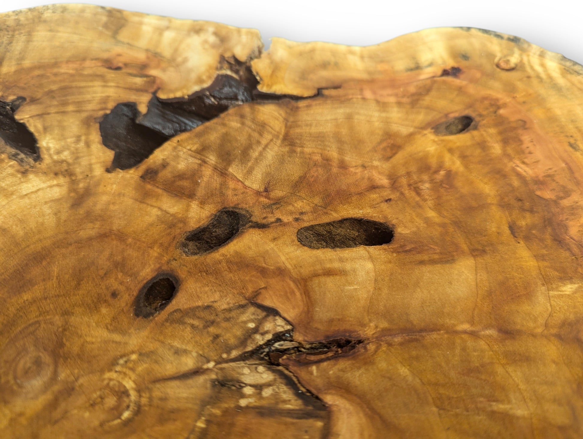 View of an amber-toned wood slice, featuring prominent growth rings, several dark holes, and deep natural cracks.