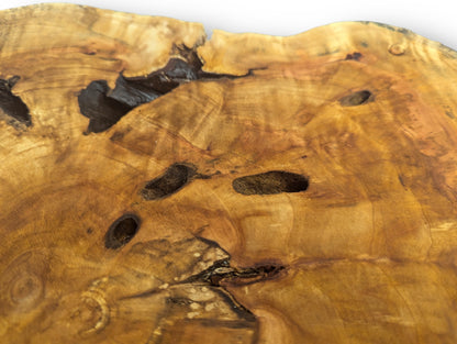 View of an amber-toned wood slice, featuring prominent growth rings, several dark holes, and deep natural cracks.