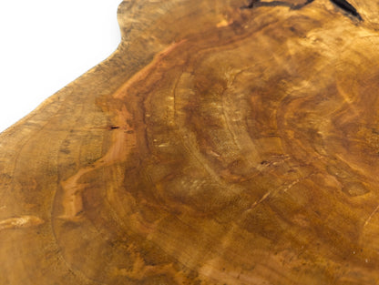 Detailed view of an irregular golden-brown wood surface, displaying prominent growth rings and dark natural holes.