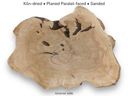 The reverse side of a weeping willow root slice, planed parallel-faced and sanded smooth.