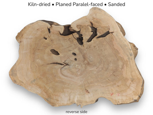The reverse side of a weeping willow root slice, planed parallel-faced and sanded smooth.