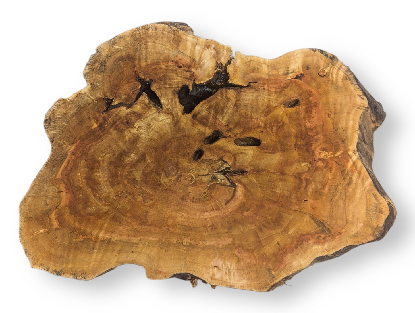 Irregular golden-brown wood slice, featuring distinct growth rings, dark holes, and a natural live edge.
