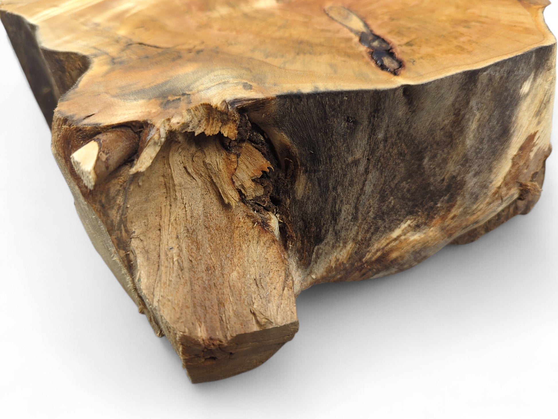 Textured, thick wood chunk displays light and dark brown hues, rugged organic edges, and distinct grain.