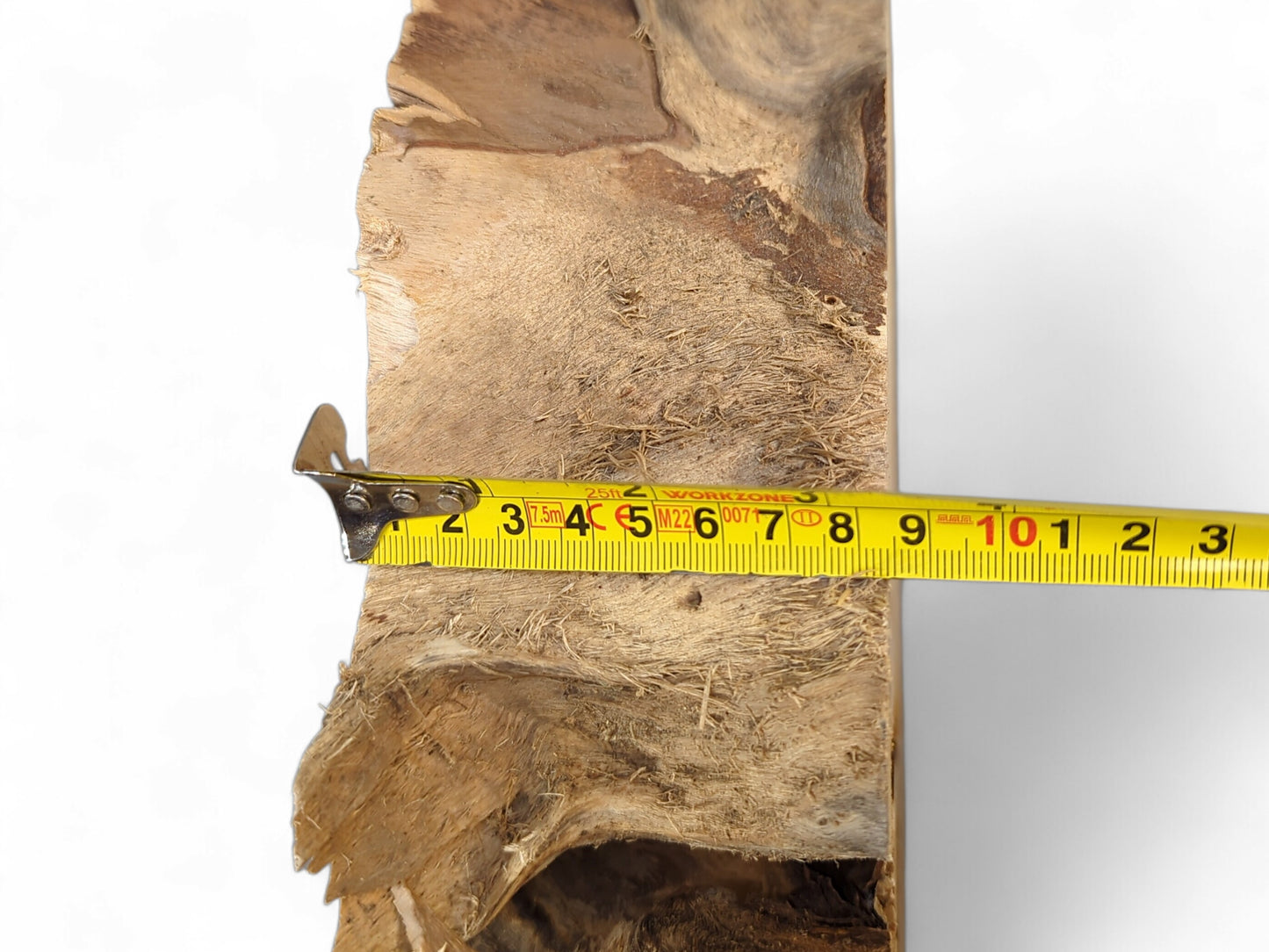 Yellow measuring tape across a light brown, highly fibrous root wood piece with rough edges.