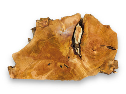 Honey-colored, irregular wood piece displays prominent growth rings, natural rough edges, and a large central void.