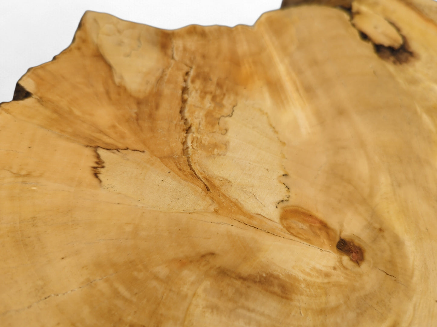 Irregularly shaped, light brown wood slice features distinct grain, dark fungal lines, some cracks, and a live edge.