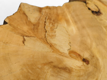 Irregularly shaped, light brown wood slice features distinct grain, dark fungal lines, some cracks, and a live edge.