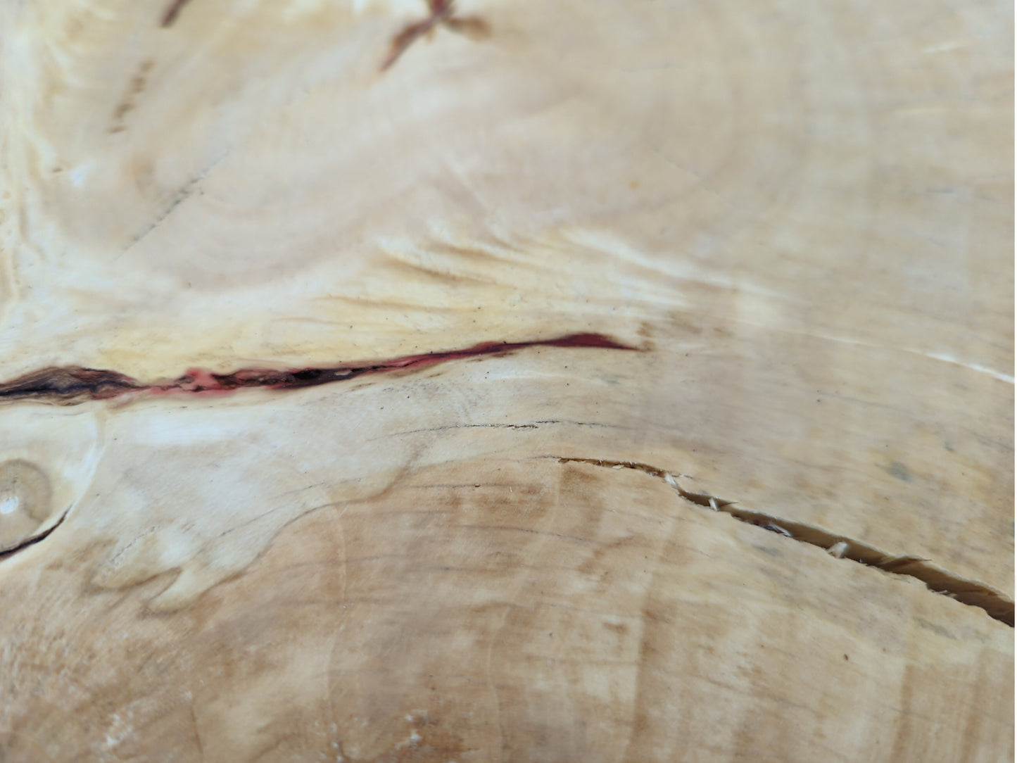 Light brown wood surface with visible growth rings, numerous fissures, and a prominent reddish streak.