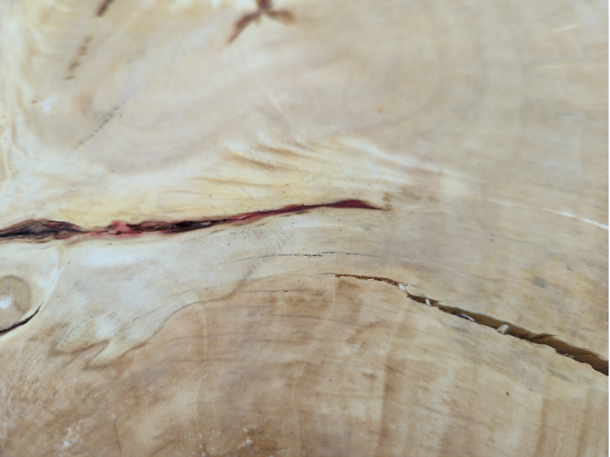 Light brown wood surface with visible growth rings, numerous fissures, and a prominent reddish streak.