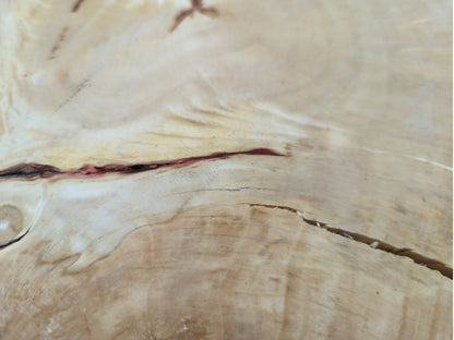 Light brown wood surface with visible growth rings, numerous fissures, and a prominent reddish streak.