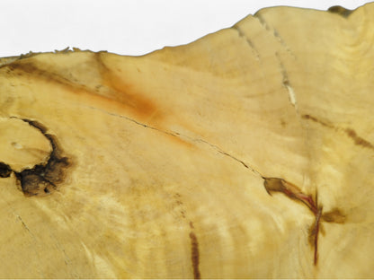 A light yellow wood slice displays swirling grain, multiple cracks, a dark knot, and a reddish streak.