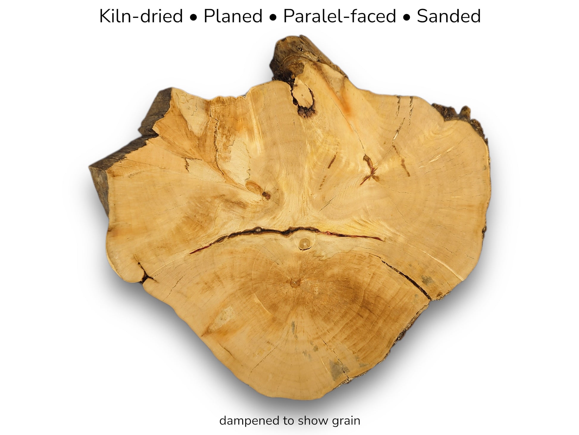 A weeping willow root slice with text explaining it's kiln-dried, planed, parallel-faced, and sanded.