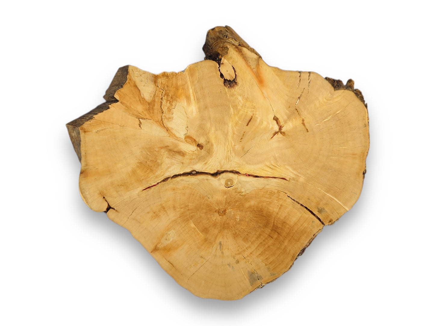 Natural wood slice, light brown, showing an irregular shape, visible growth rings, cracks, and dark live edge.