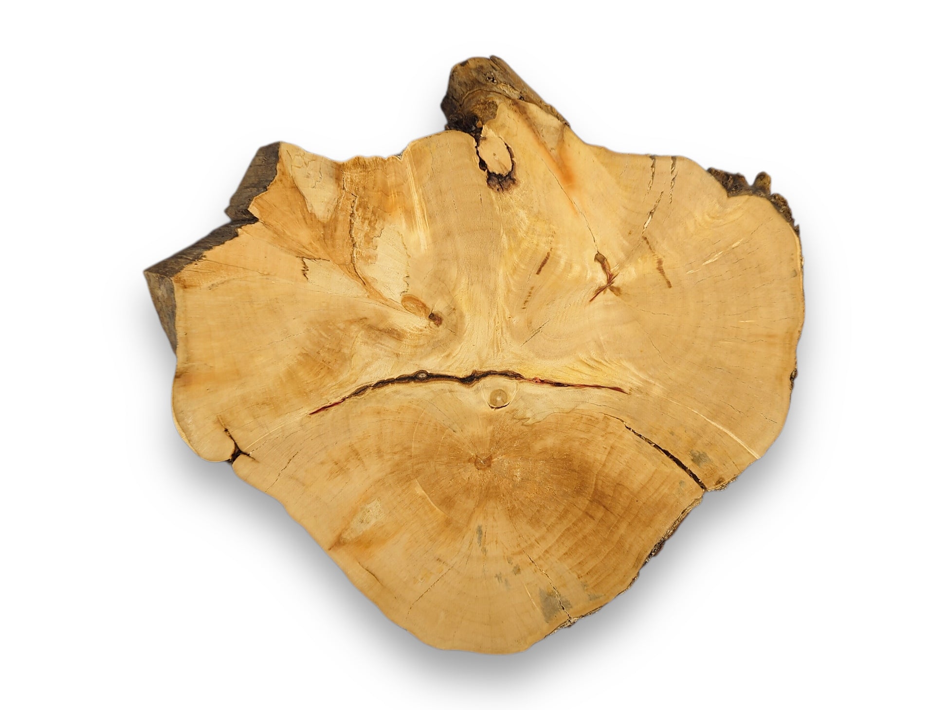 Natural wood slice, light brown, showing an irregular shape, visible growth rings, cracks, and dark live edge.