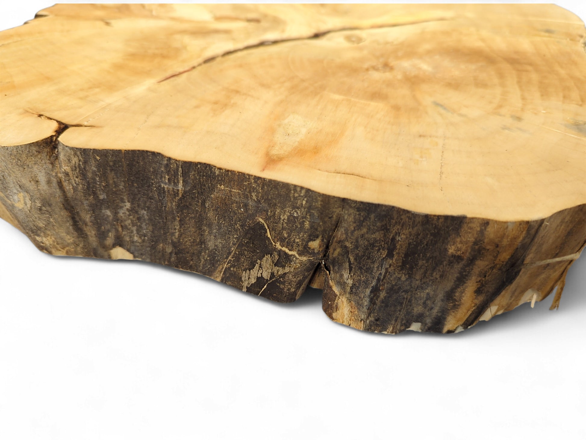 Pale yellow wood slice, irregular shape, with distinct growth rings, multiple surface cracks, and a dark live edge.