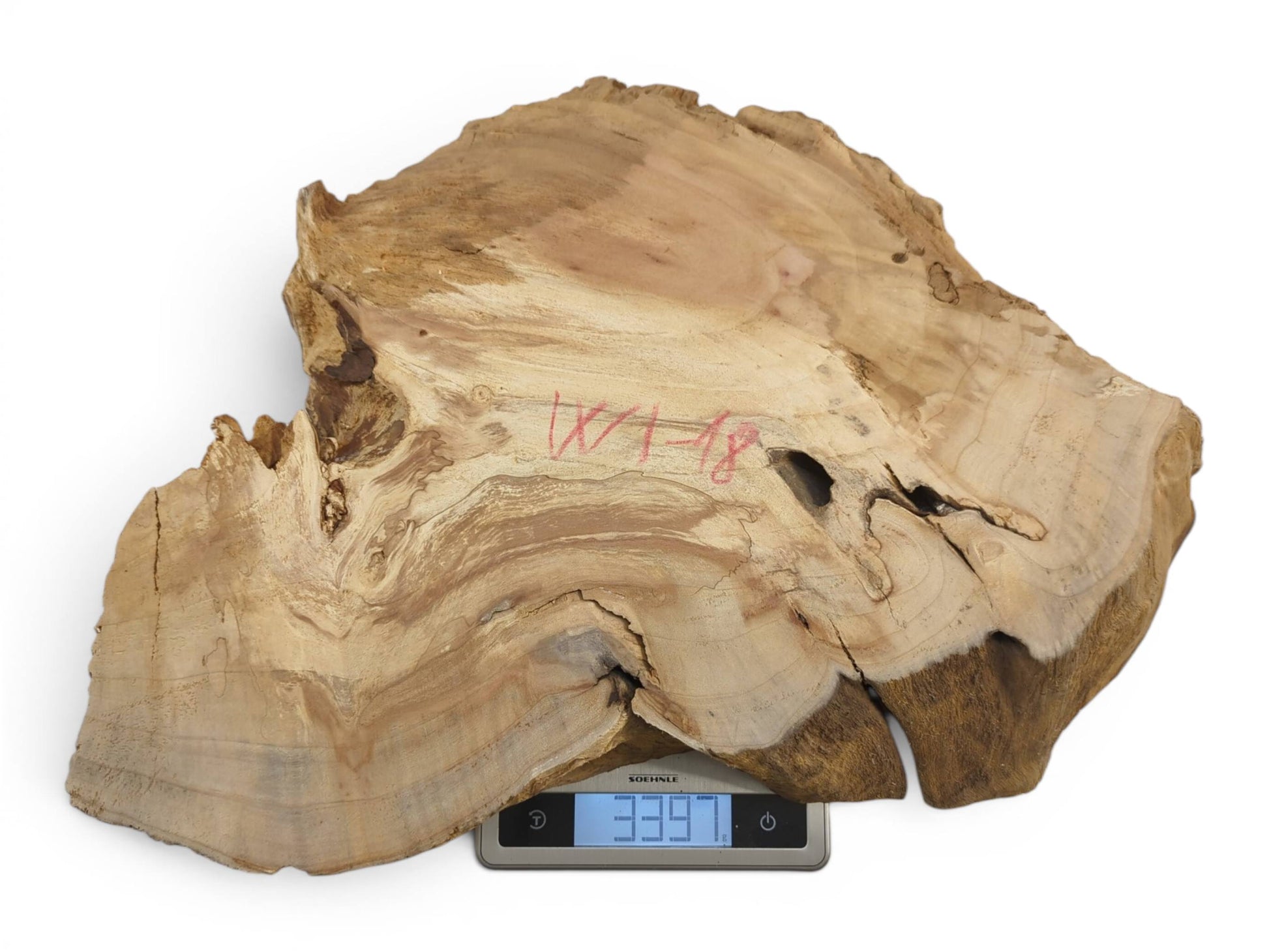 An overhead view of a light brown willow wood slab with natural grain and live edge.
