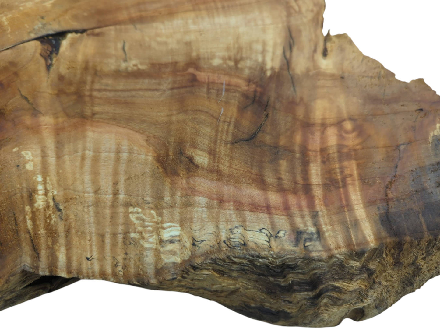 Close-up of a weeping willow wood slab with a live edge and natural grain patterns.