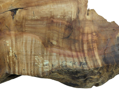 Close-up of a weeping willow wood slab with a live edge and natural grain patterns.