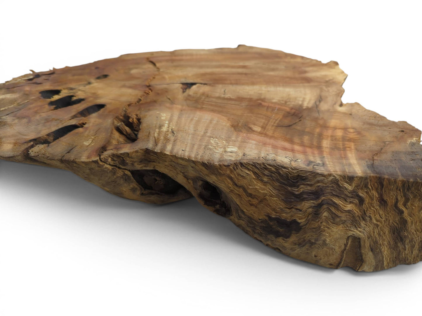 A weeping willow wood slab with a live edge, natural cracks, and dark holes.