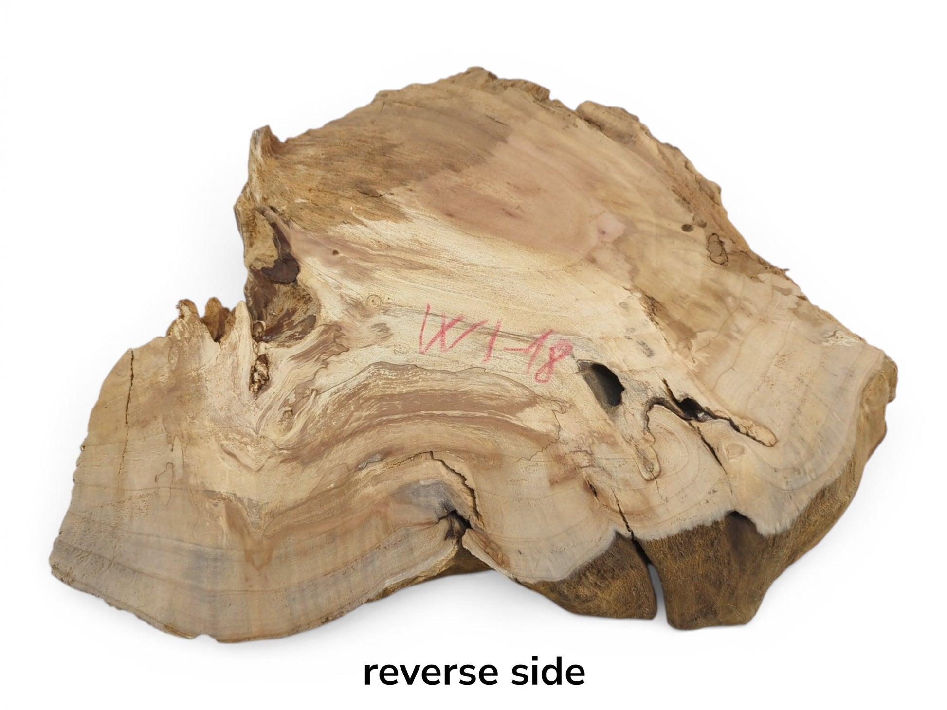 Reverse side of a weeping willow wood slab with natural cracks and a hole.