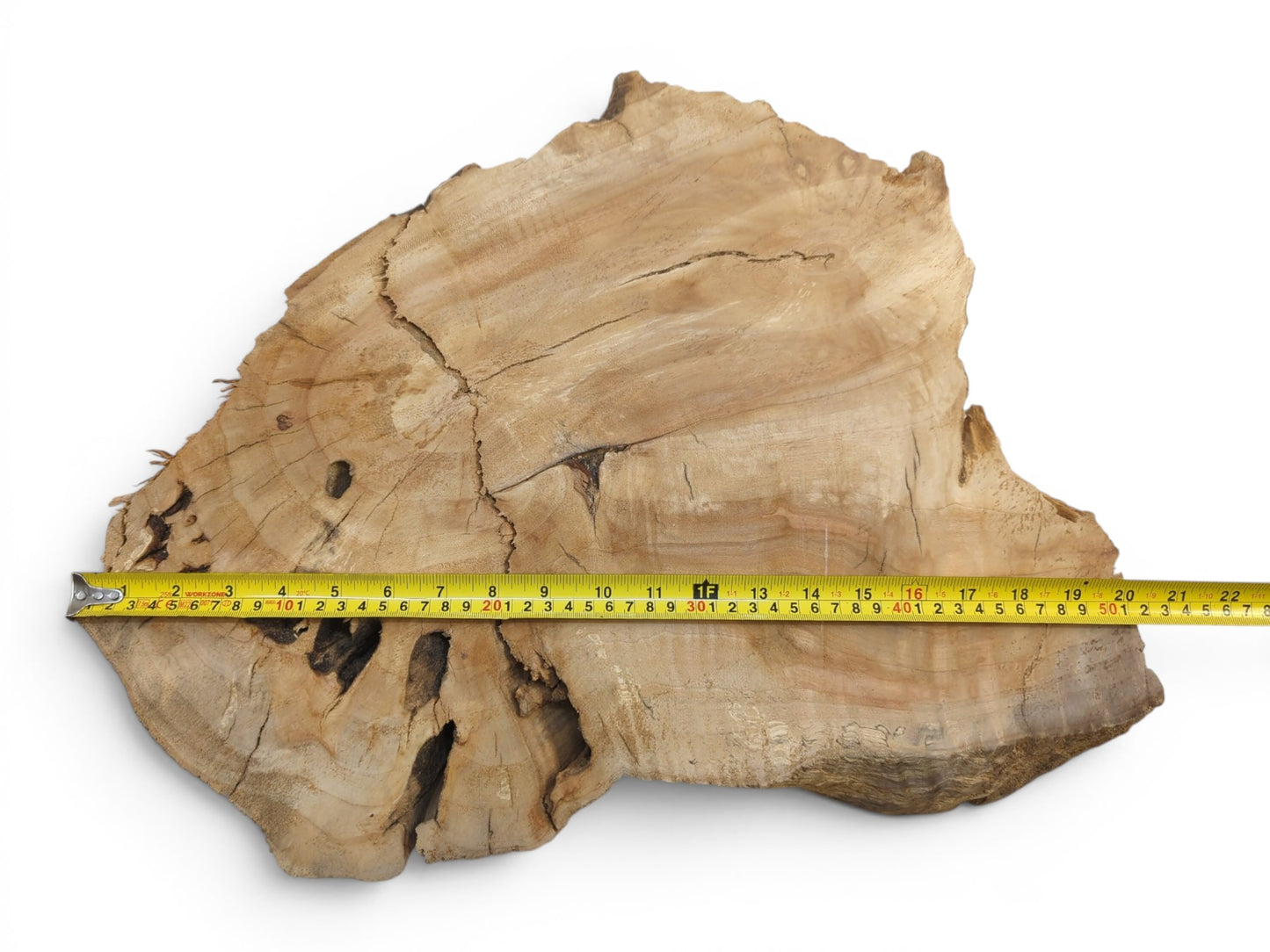 A weeping willow wood slab with a live edge, natural cracks, and a measuring tape.