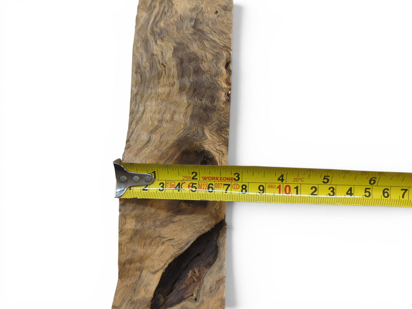 A weeping willow wood slab with a live edge and natural cracks, measured with a tape.