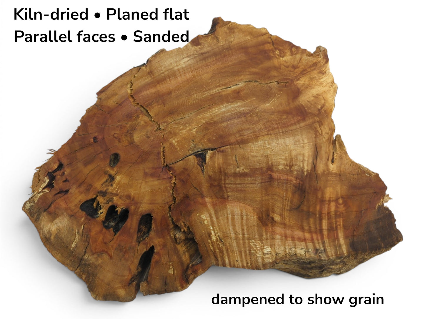 A kiln-dried, planed, and sanded weeping willow wood slab with natural cracks and holes.